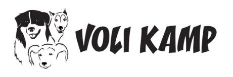 Voli Kamp Logo